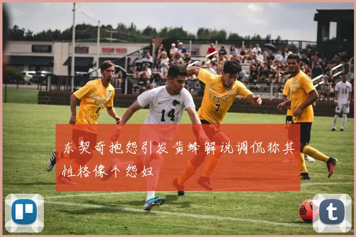 东契奇抱怨引发黄蜂解说调侃称其性格像个怨妇